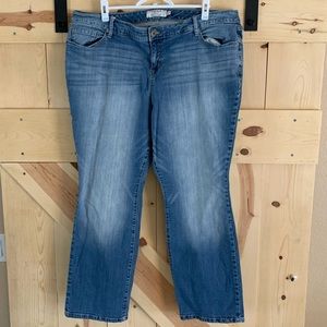 Torrid Jeans Barely Boot 22R